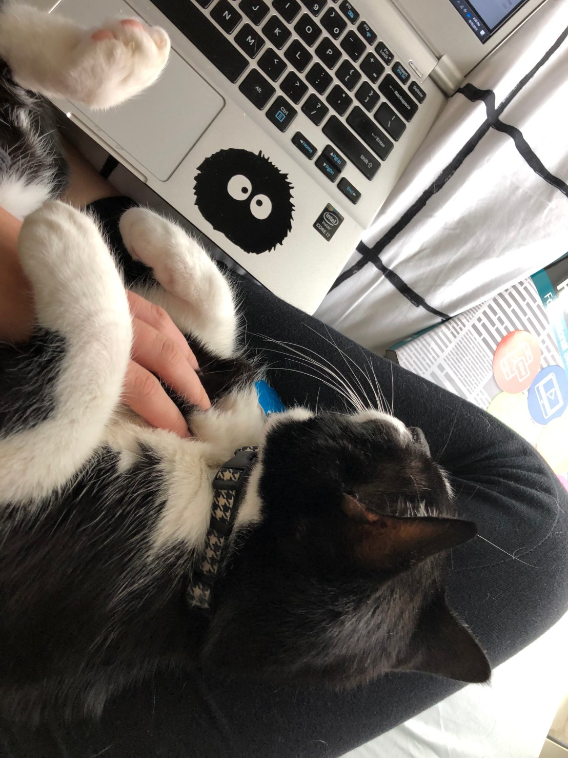 F2719EE0-7C2F-472E-B1E4-E289C6C96DF2